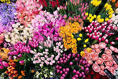 《全面战争：战锤3》新DLC变化灵介绍 8月31日推出